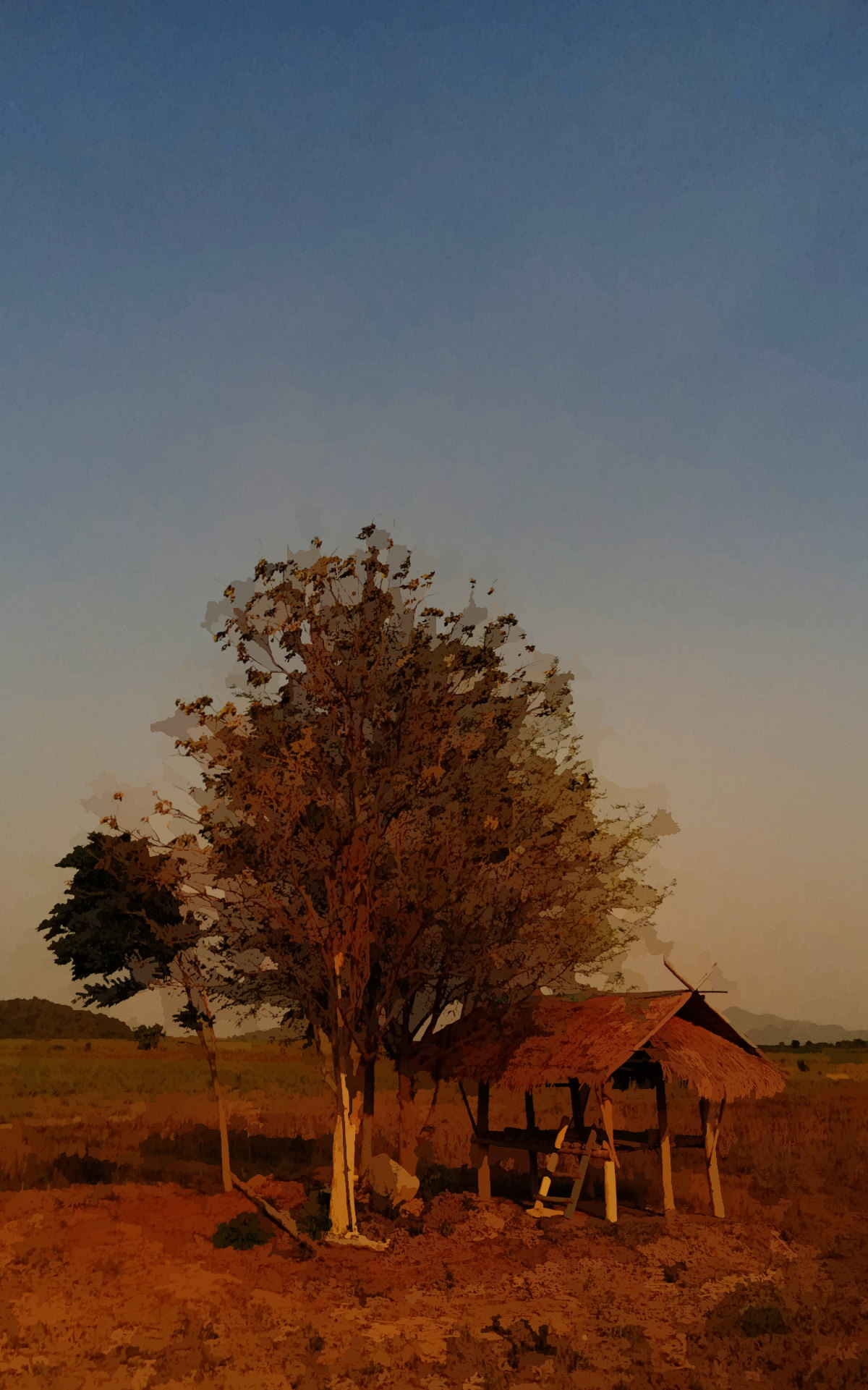 A hut in the field