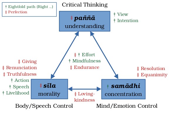 The final triangular model with ten perfections