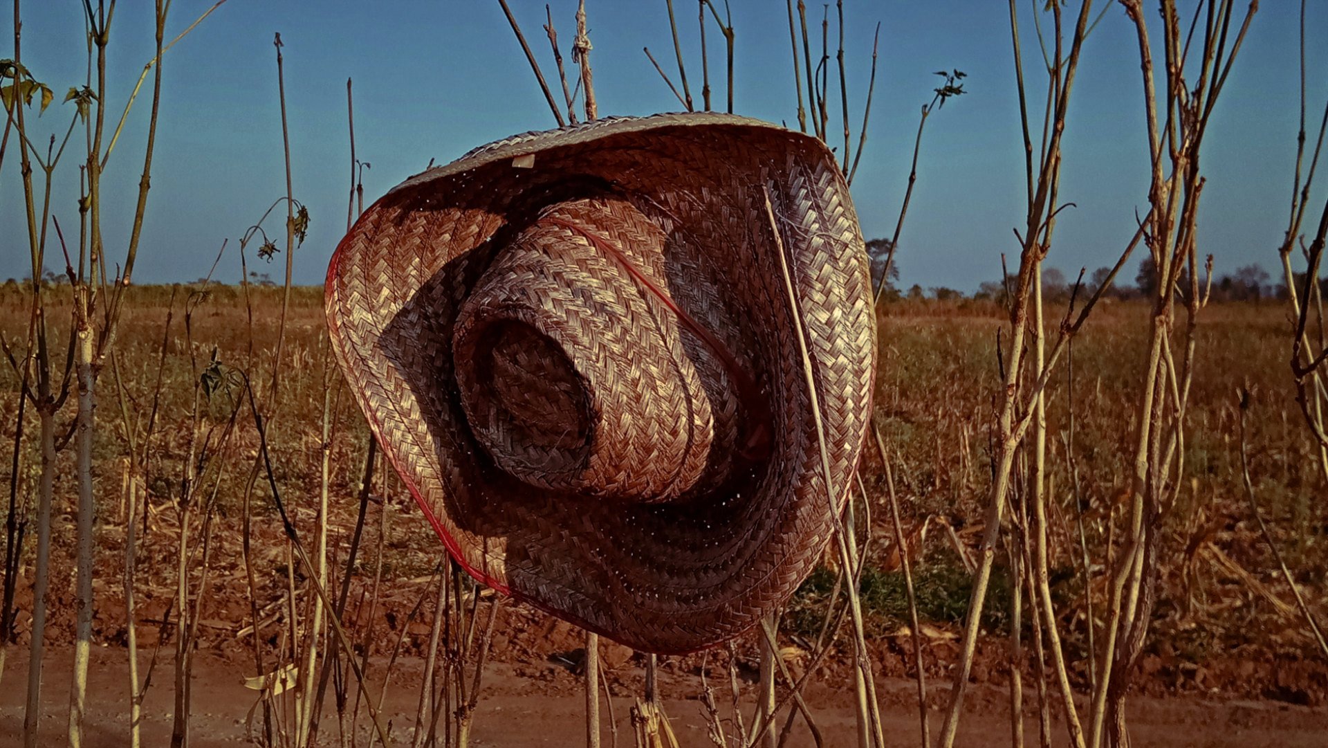 A discarded hat 2