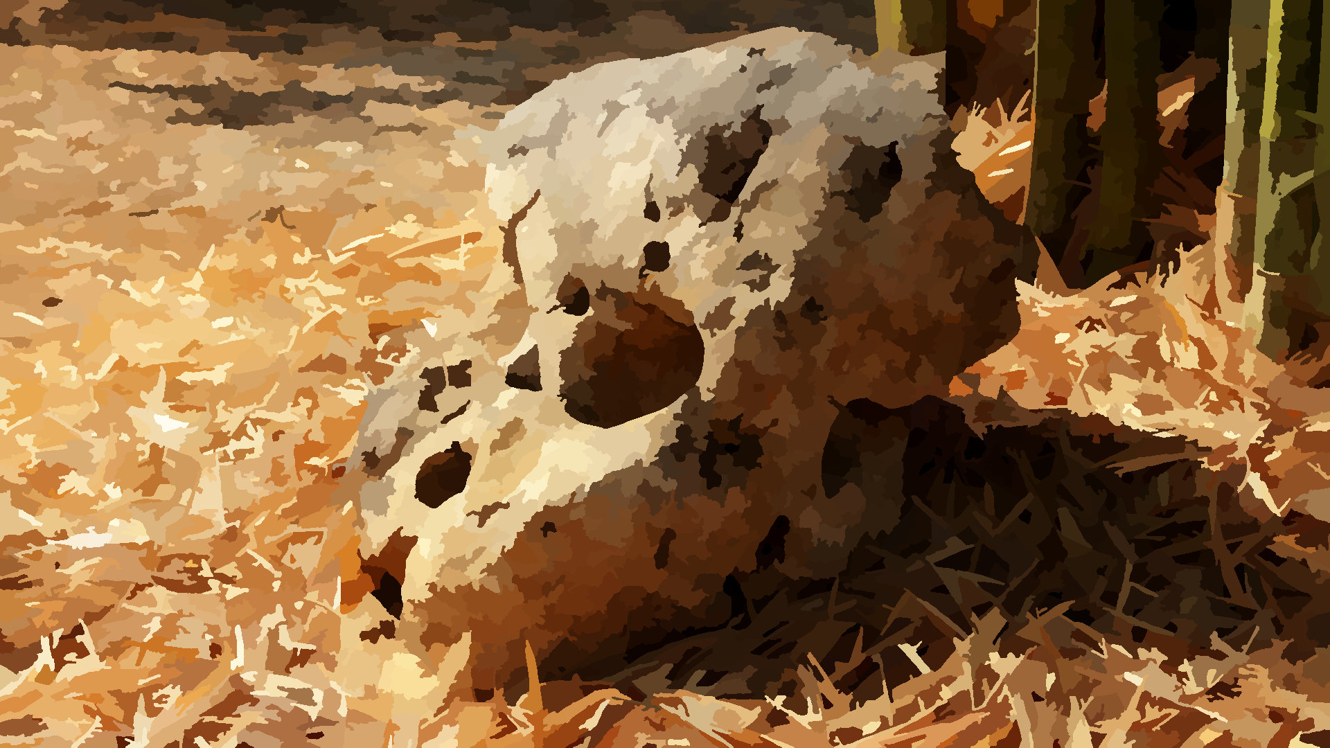 The skull stone 1