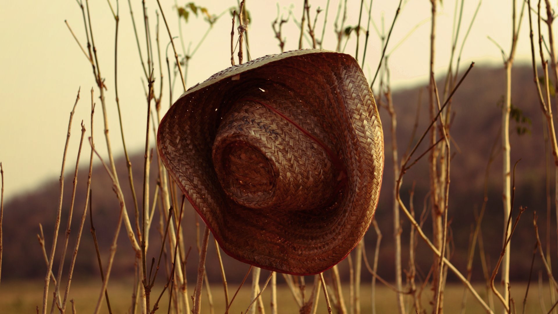 A discarded hat 1