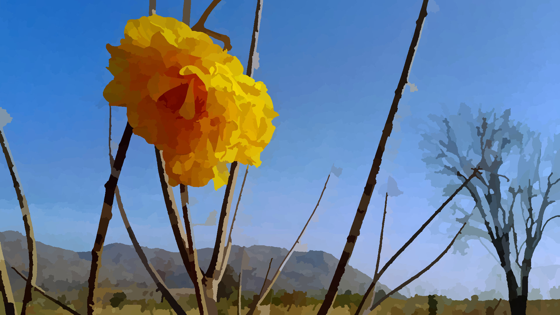 Yellow flowers 1