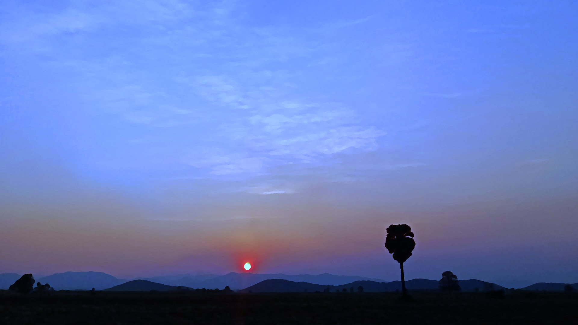 A palm tree at a sunset 2