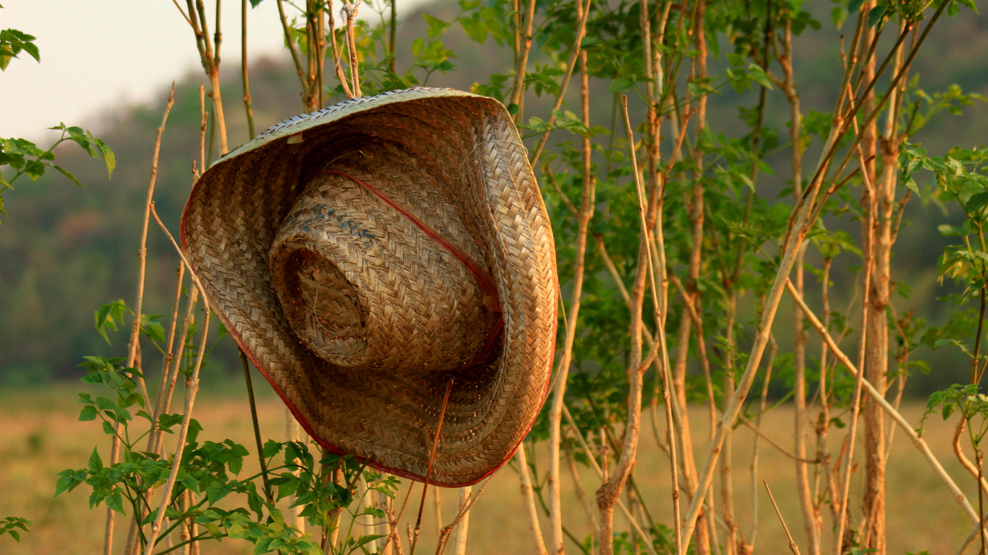 A discarded hat 3