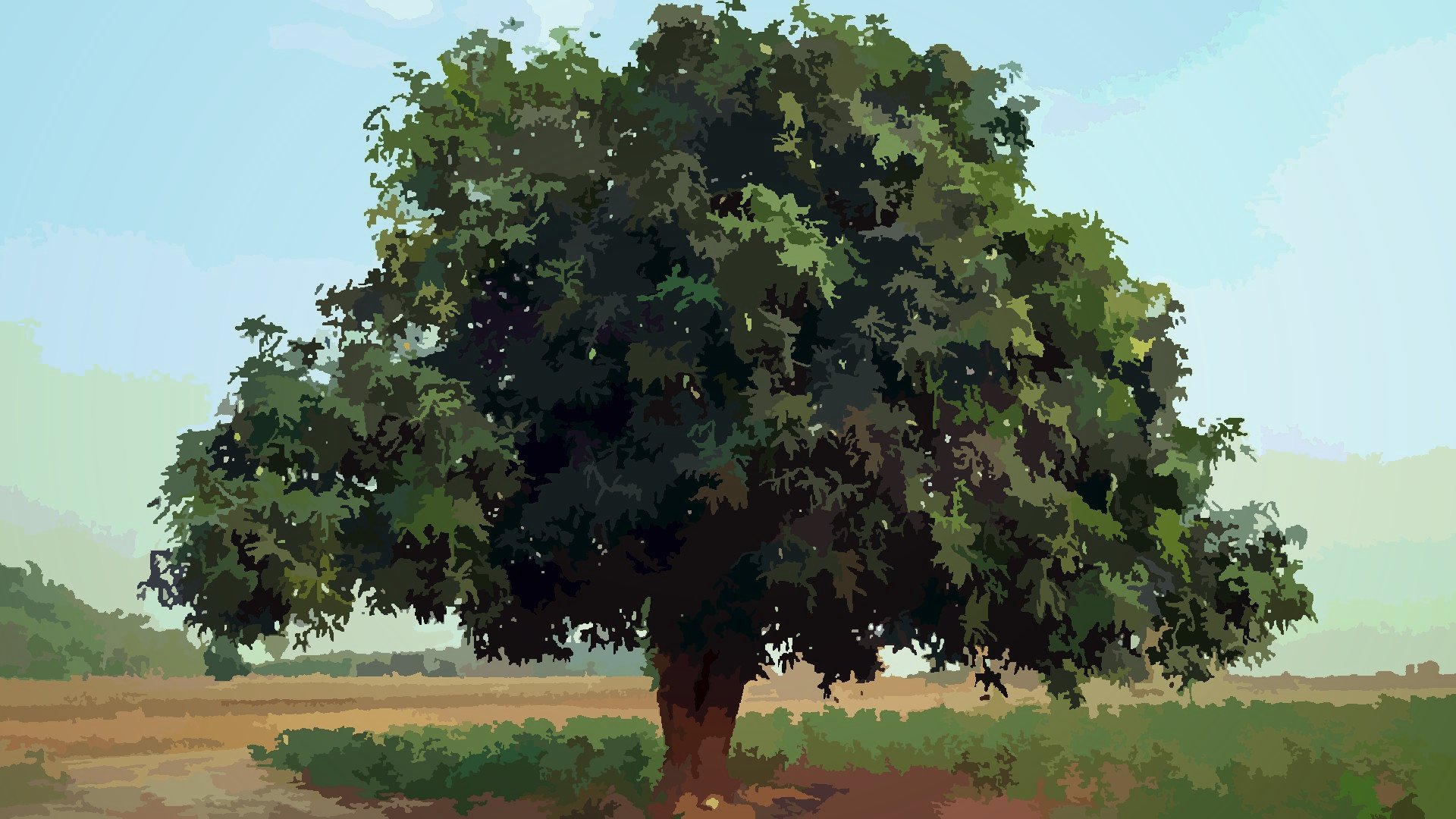 A mango tree