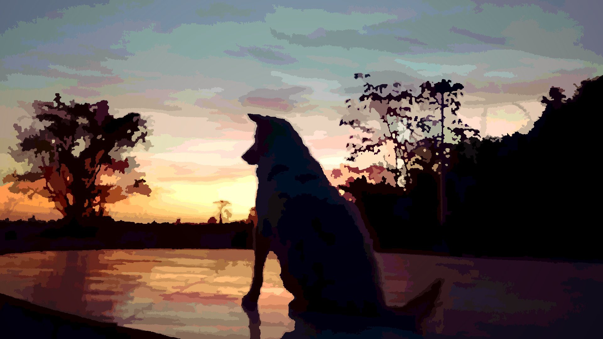A dog at dawn