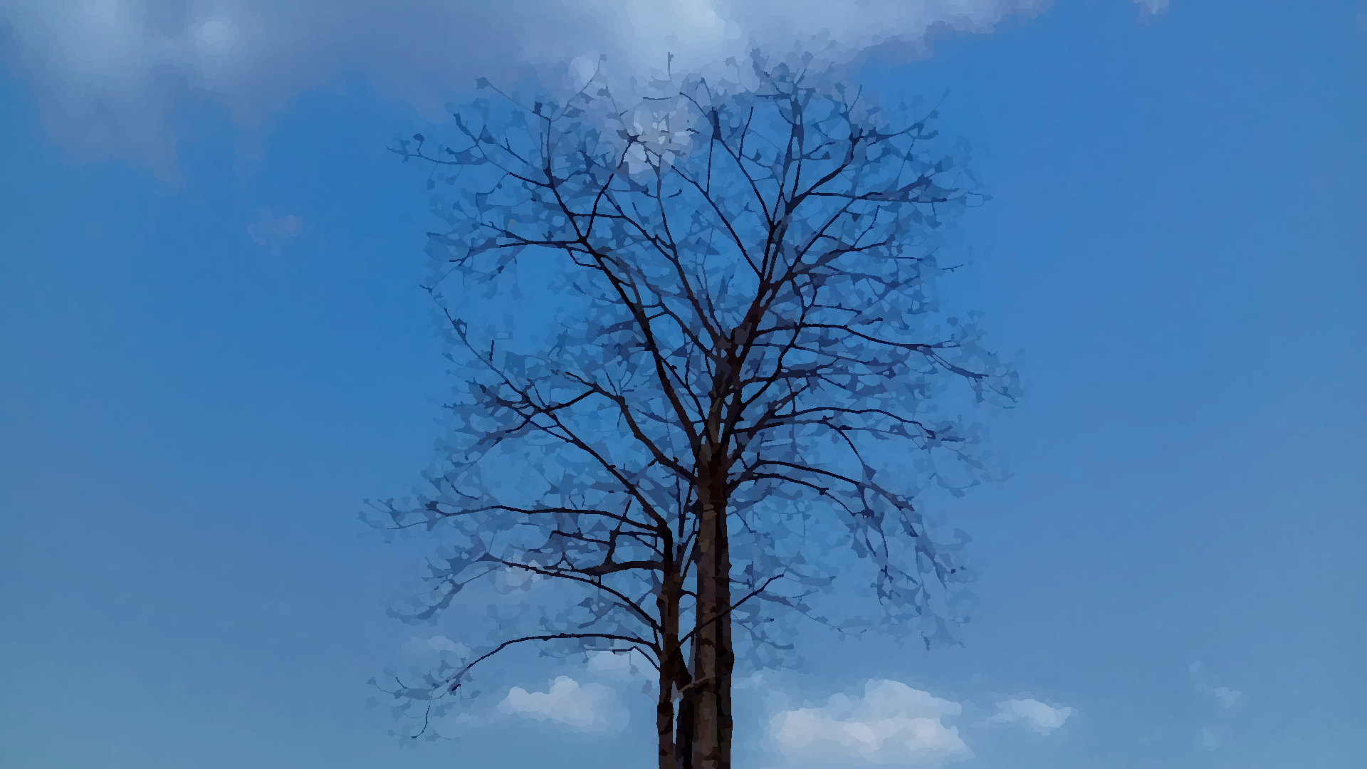 A leafless tree against the sky 1